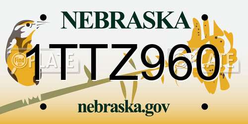 1TTZ960 Nebraska License Plate