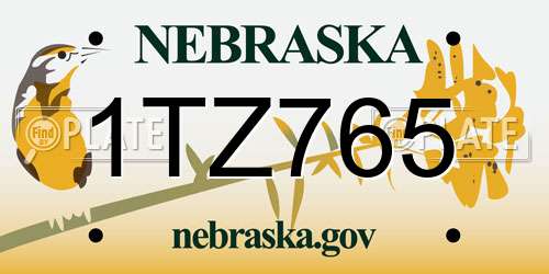 1TZ765 Nebraska License Plate