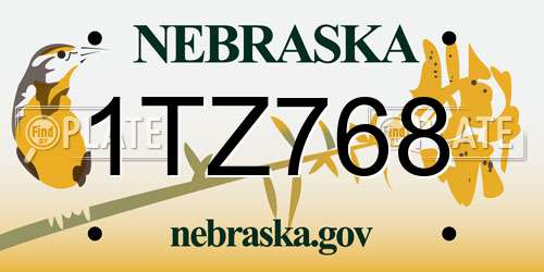 1TZ768 Nebraska License Plate