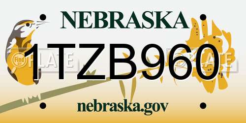 1TZB960 Nebraska License Plate