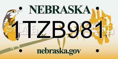 1TZB981 Nebraska License Plate