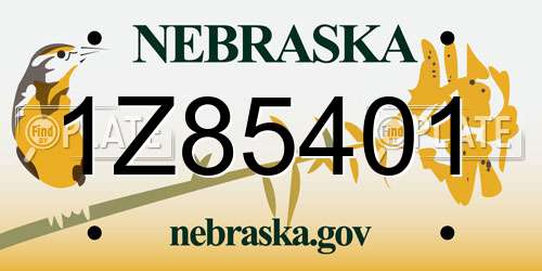 1Z85401 Nebraska License Plate