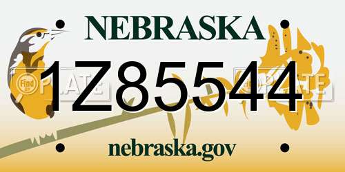 1Z85544 Nebraska License Plate