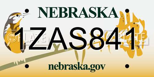 1ZAS841 Nebraska License Plate
