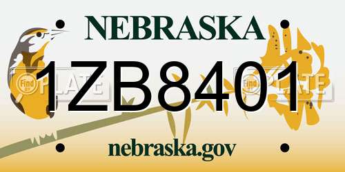 1ZB8401 Nebraska License Plate
