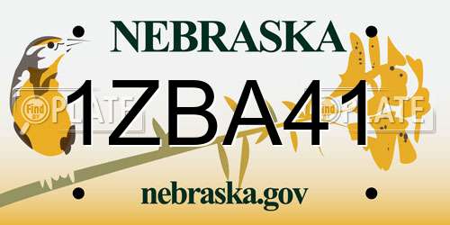 1ZBA41 Nebraska License Plate