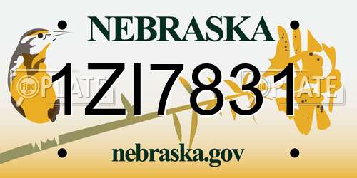 1ZI7831 Nebraska License Plate
