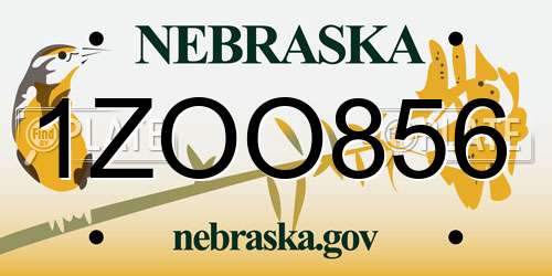 1ZOO856 Nebraska License Plate
