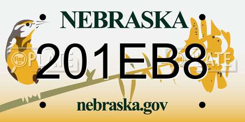 201EB8 Nebraska License Plate