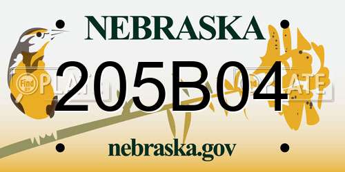 205B04 Nebraska License Plate
