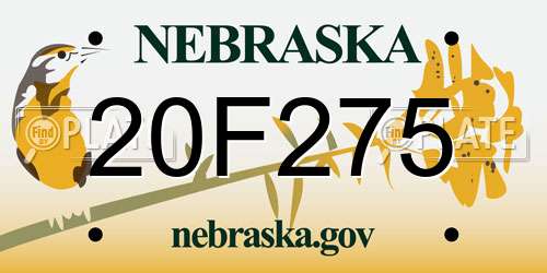 20F275 Nebraska License Plate