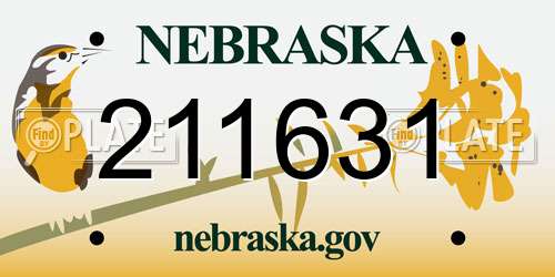 211631 Nebraska License Plate