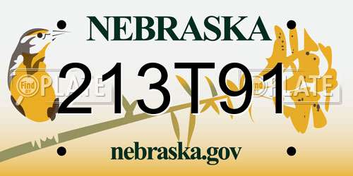 213T91 Nebraska License Plate