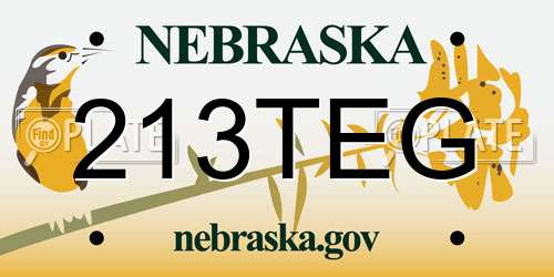 213TEG Nebraska License Plate