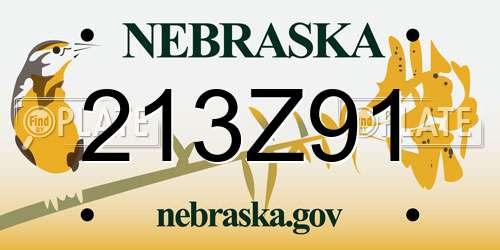 213Z91 Nebraska License Plate