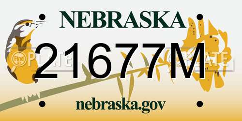 21677M Nebraska License Plate