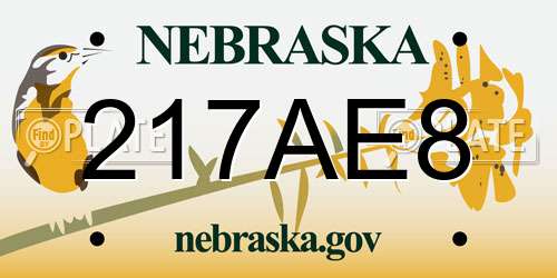 217AE8 Nebraska License Plate