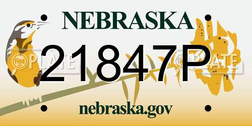 21847P Nebraska License Plate