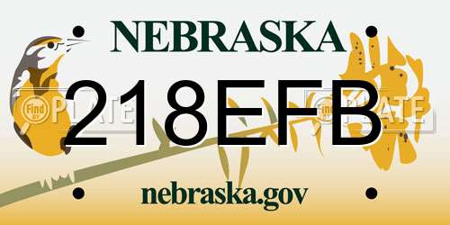 218EFB Nebraska License Plate
