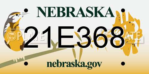 21E368 Nebraska License Plate