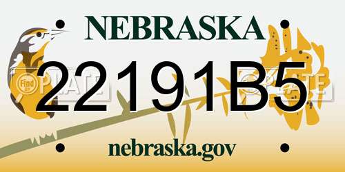 22191B5 Nebraska License Plate