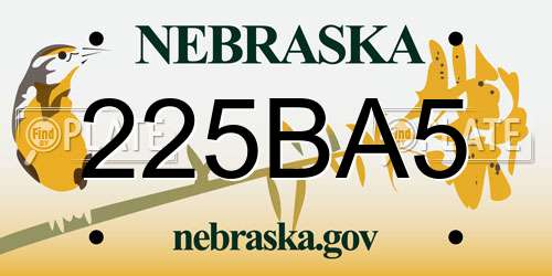 225BA5 Nebraska License Plate