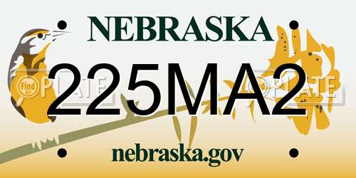 225MA2 Nebraska License Plate
