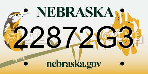 22872G3 Nebraska License Plate