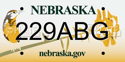 229ABG Nebraska License Plate
