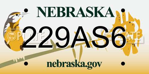 229AS6 Nebraska License Plate