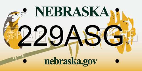 229ASG Nebraska License Plate