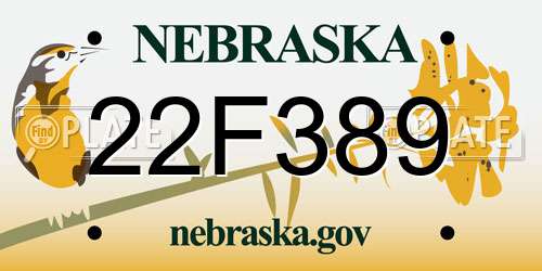 22F389 Nebraska License Plate