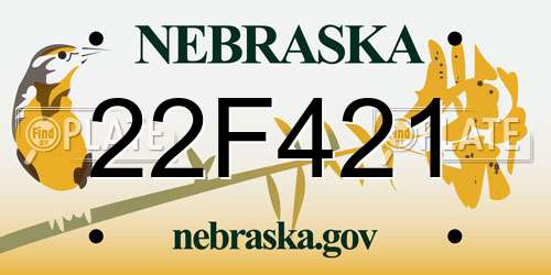 22F421 Nebraska License Plate