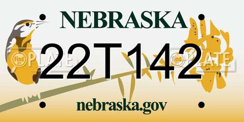 22T142 Nebraska License Plate