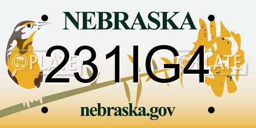 231IG4 Nebraska License Plate