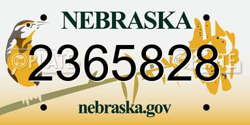 2365828 Nebraska License Plate