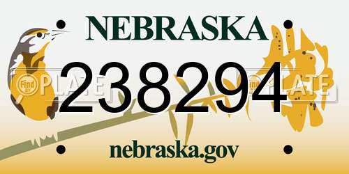 238294 Nebraska License Plate