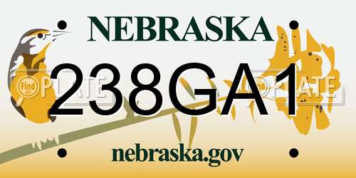 238GA1 Nebraska License Plate