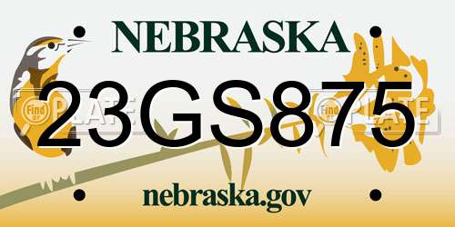 23GS875 Nebraska License Plate