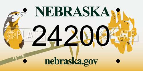 24200 Nebraska License Plate