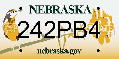 242PB4 Nebraska License Plate