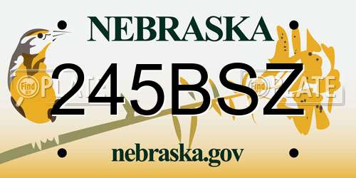 245BSZ Nebraska License Plate