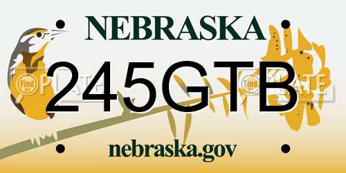 245GTB Nebraska License Plate