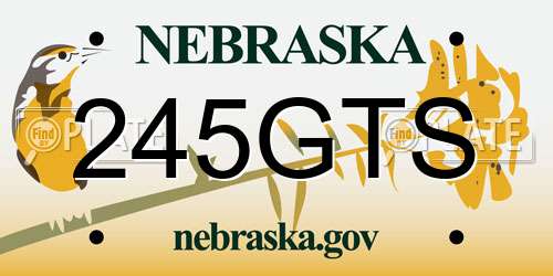 245GTS Nebraska License Plate