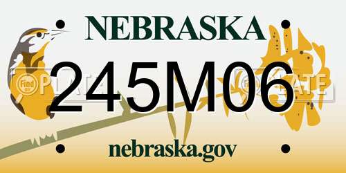 245M06 Nebraska License Plate