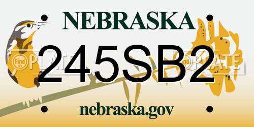 245SB2 Nebraska License Plate