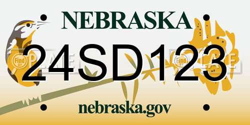 24SD123 Nebraska License Plate