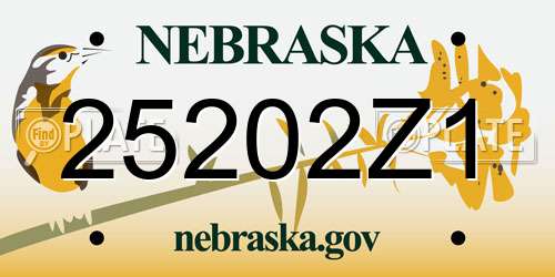 25202Z1 Nebraska License Plate
