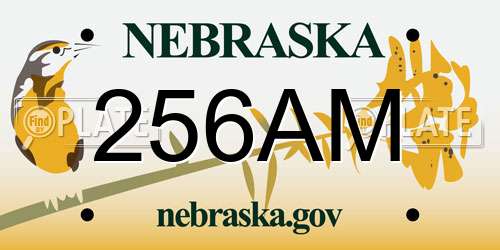 256AM Nebraska License Plate