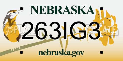 263IG3 Nebraska License Plate